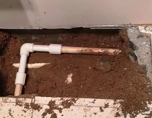 魏县测漏水哪家好